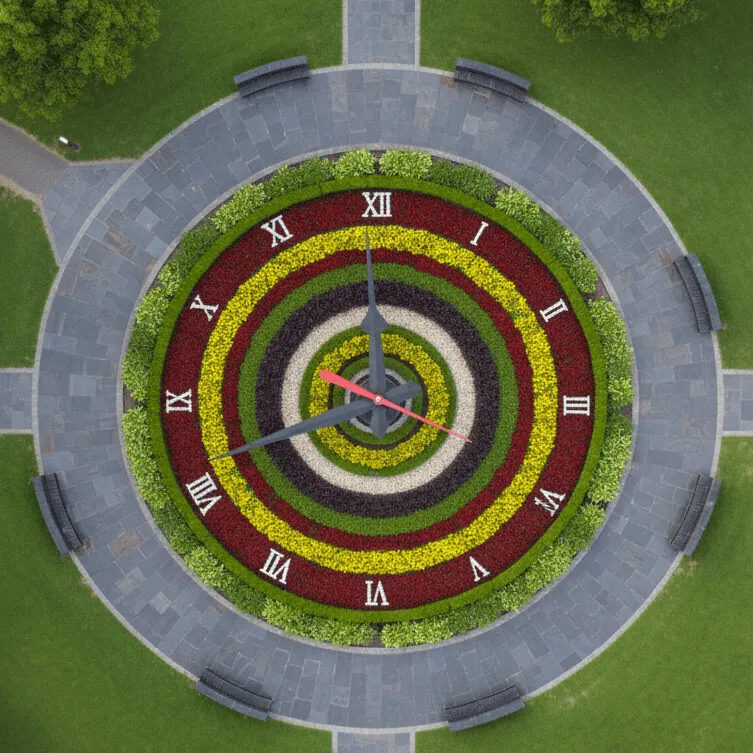 Floral clock design - Lubbock, TX