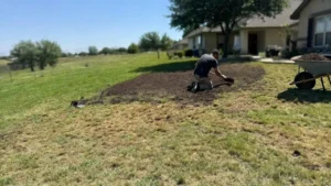 Fixing Brown Patches in Lubbock, TX Lawn