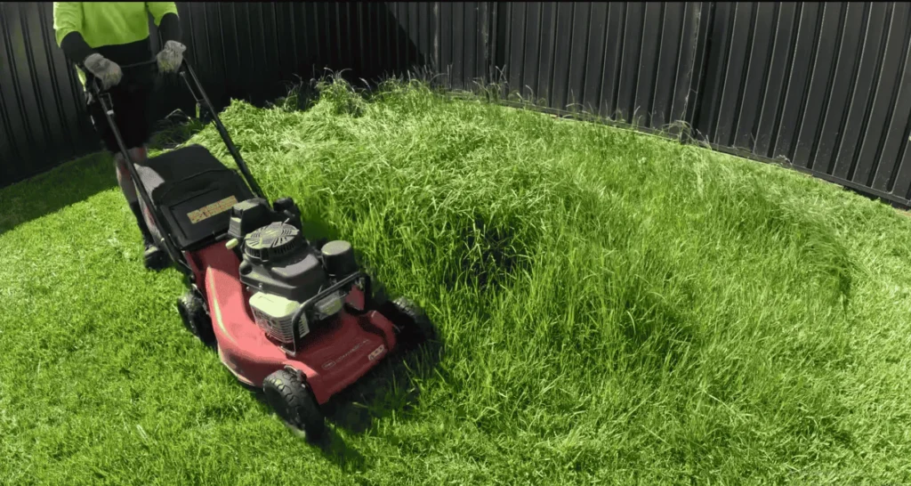 Weekly Lawn Mowing Schedule for Lubbock 3 Reliable Lawn Mowing Service in Lubbock